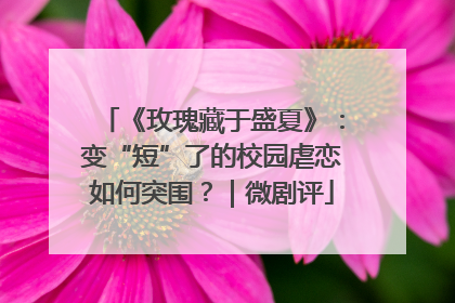 《玫瑰藏于盛夏》：变“短”了的校园虐恋如何突围？｜微剧评