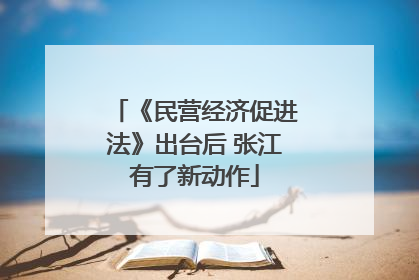 《民营经济促进法》出台后 张江有了新动作