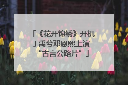 《花开锦绣》开机 丁禹兮邓恩熙上演“古言公路片”