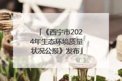 《西宁市2024年生态环境质量状况公报》发布