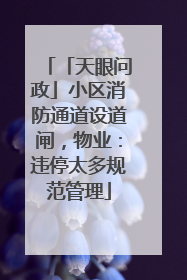 「天眼问政」小区消防通道设道闸，物业：违停太多规范管理