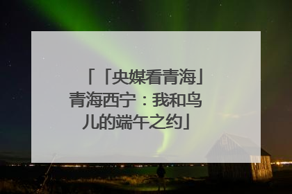 「央媒看青海」青海西宁：我和鸟儿的端午之约
