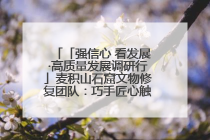 「强信心 看发展·高质量发展调研行」麦积山石窟文物修复团队：巧手匠心触摸“光阴的故事”