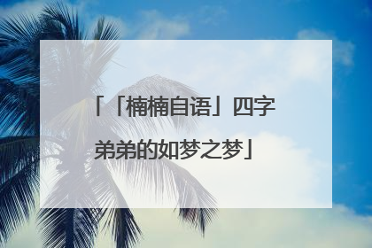 「楠楠自语」四字弟弟的如梦之梦