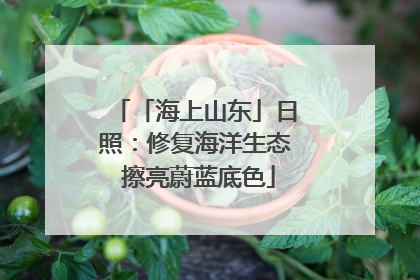 「海上山东」日照：修复海洋生态 擦亮蔚蓝底色