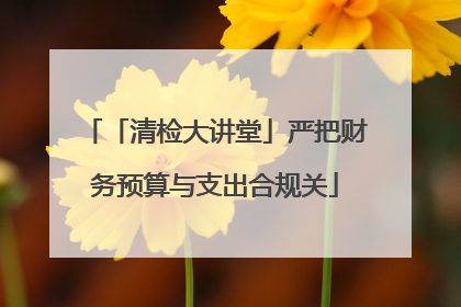 「清检大讲堂」严把财务预算与支出合规关