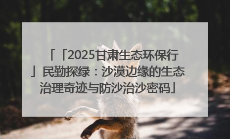「2025甘肃生态环保行」民勤探绿：沙漠边缘的生态治理奇迹与防沙治沙密码