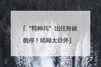 “特种兵”出任务被截停！结局太意外