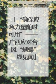 “确保应急力量随时可用”——广西应对台风“蝴蝶”一线见闻