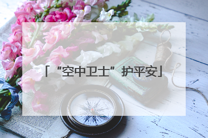 “空中卫士”护平安