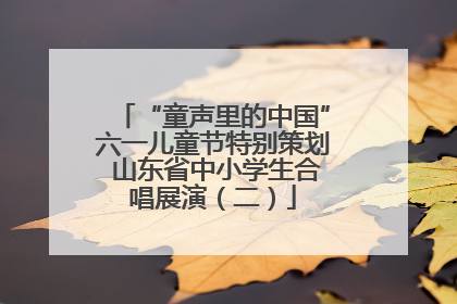 “童声里的中国”六一儿童节特别策划 山东省中小学生合唱展演（二）