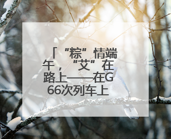 “粽”情端午，“艾”在路上——在G66次列车上邂逅中国节