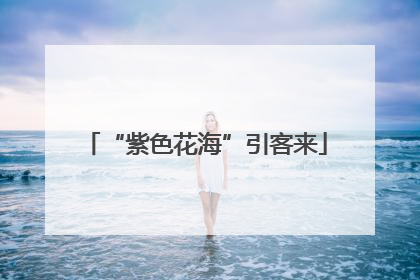 “紫色花海”引客来