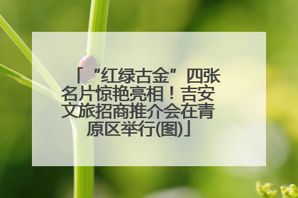 “红绿古金”四张名片惊艳亮相！吉安文旅招商推介会在青原区举行(图)