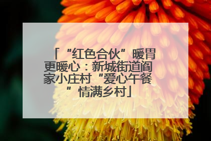 “红色合伙”暖胃更暖心：新城街道阎家小庄村“爱心午餐”情满乡村