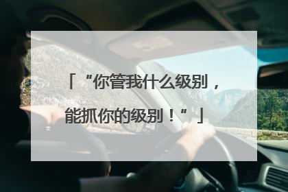 “你管我什么级别，能抓你的级别！”