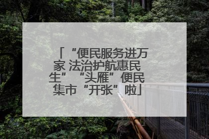 “便民服务进万家 法治护航惠民生”“头雁”便民集市“开张”啦