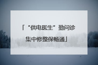 “供电医生”勤问诊 集中修整保畅通