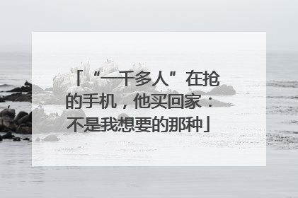 “一千多人”在抢的手机，他买回家：不是我想要的那种