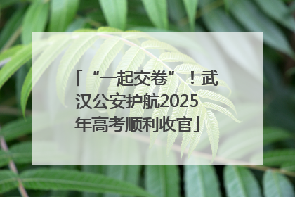 “一起交卷”！武汉公安护航2025年高考顺利收官