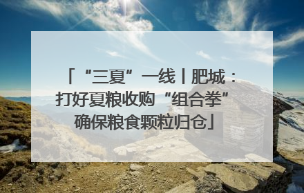 “三夏”一线丨肥城：打好夏粮收购“组合拳” 确保粮食颗粒归仓