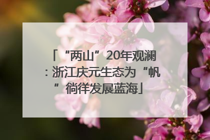 “两山”20年观澜：浙江庆元生态为“帆”徜徉发展蓝海