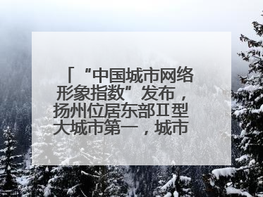 “中国城市网络形象指数”发布，扬州位居东部Ⅱ型大城市第一，城市生活形象亮眼
