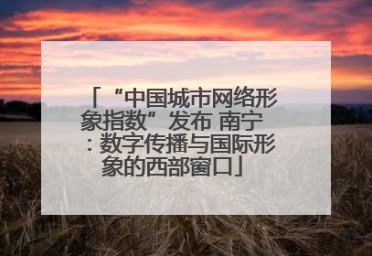 “中国城市网络形象指数”发布 南宁：数字传播与国际形象的西部窗口