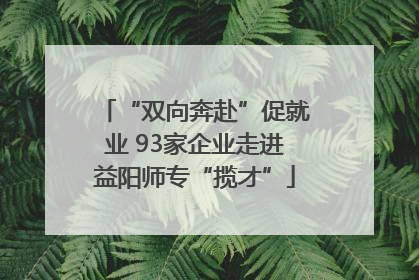 “双向奔赴”促就业 93家企业走进益阳师专“揽才”