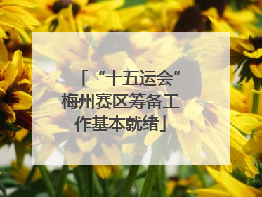 “十五运会”梅州赛区筹备工作基本就绪