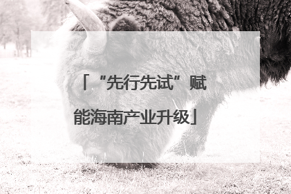 “先行先试”赋能海南产业升级