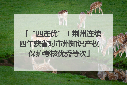 “四连优”！荆州连续四年获省对市州知识产权保护考核优秀等次