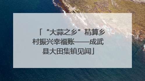 “大蒜之乡”精算乡村振兴幸福账——成武县大田集镇见闻