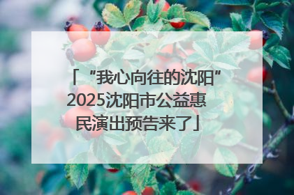 “我心向往的沈阳”2025沈阳市公益惠民演出预告来了