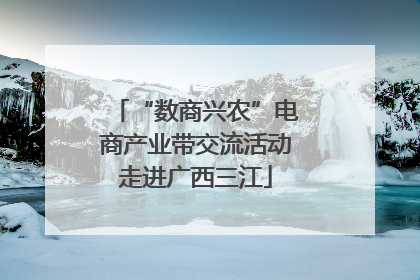 “数商兴农”电商产业带交流活动走进广西三江