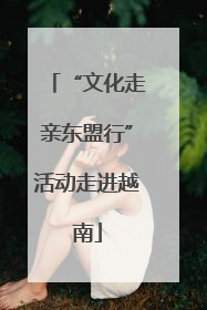 “文化走亲东盟行”活动走进越南