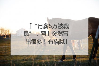“月薪5万被裁员”，网上突然冒出很多！有猫腻