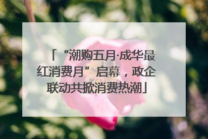 “潮购五月·成华最红消费月”启幕，政企联动共掀消费热潮
