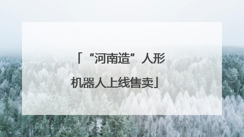 “河南造”人形机器人上线售卖