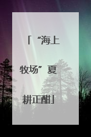 “海上牧场”夏耕正酣