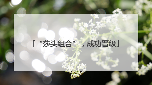 “莎头组合”，成功晋级
