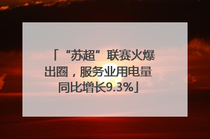 “苏超”联赛火爆出圈，服务业用电量同比增长9.3%