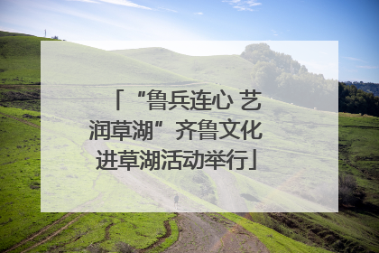 “鲁兵连心 艺润草湖”齐鲁文化进草湖活动举行