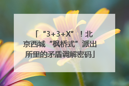 “3+3+X”！北京西城“枫桥式”派出所里的矛盾调解密码