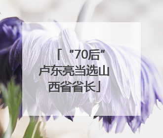 “70后”卢东亮当选山西省省长