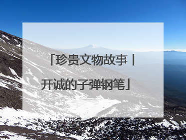 珍贵文物故事丨开诚的子弹钢笔