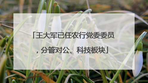 王大军已任农行党委委员，分管对公、科技板块
