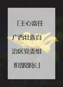 王心富任广西壮族自治区党委组织部部长