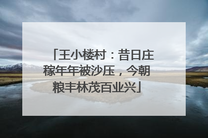 王小楼村：昔日庄稼年年被沙压，今朝粮丰林茂百业兴