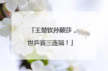 王楚钦孙颖莎，世乒赛三连冠！